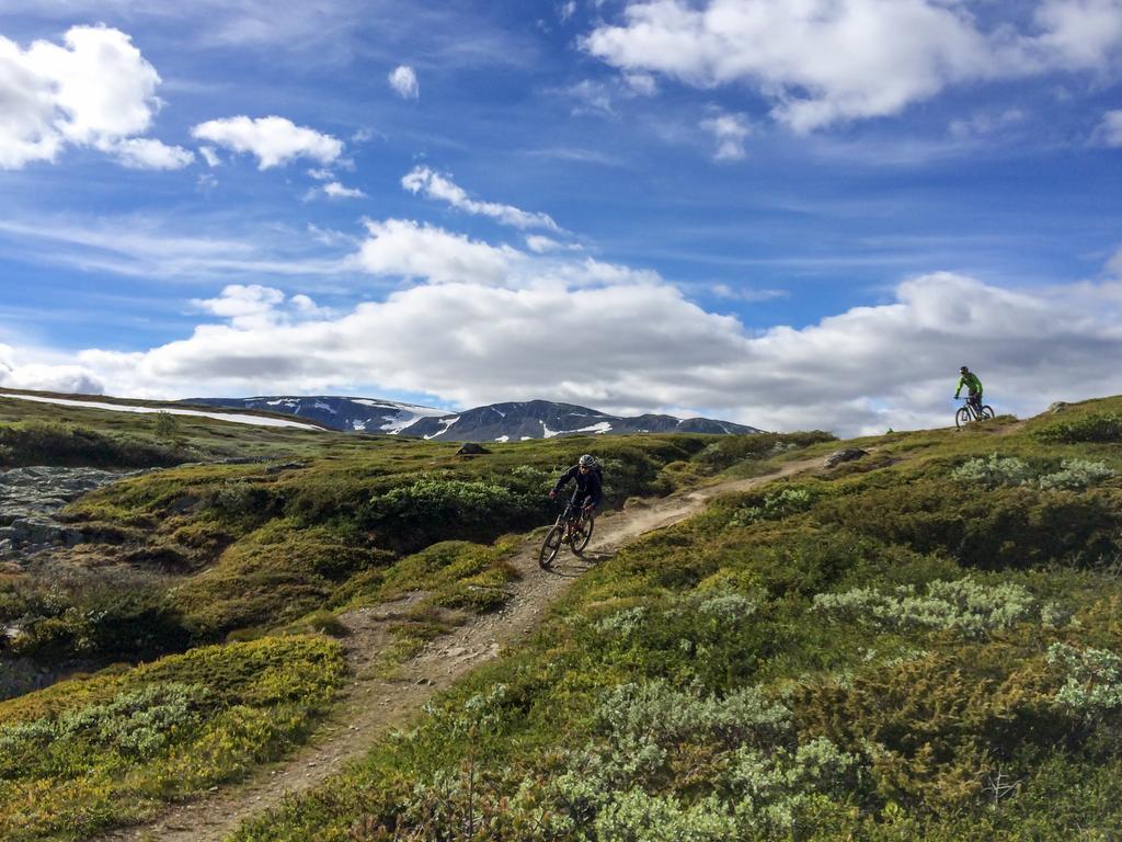 Liatoppen Fjellhotell Al Bagian luar foto