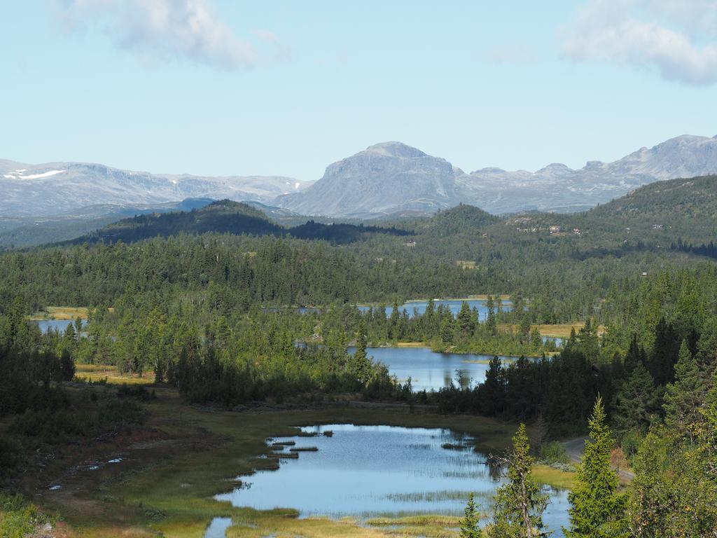 Liatoppen Fjellhotell Al Bagian luar foto