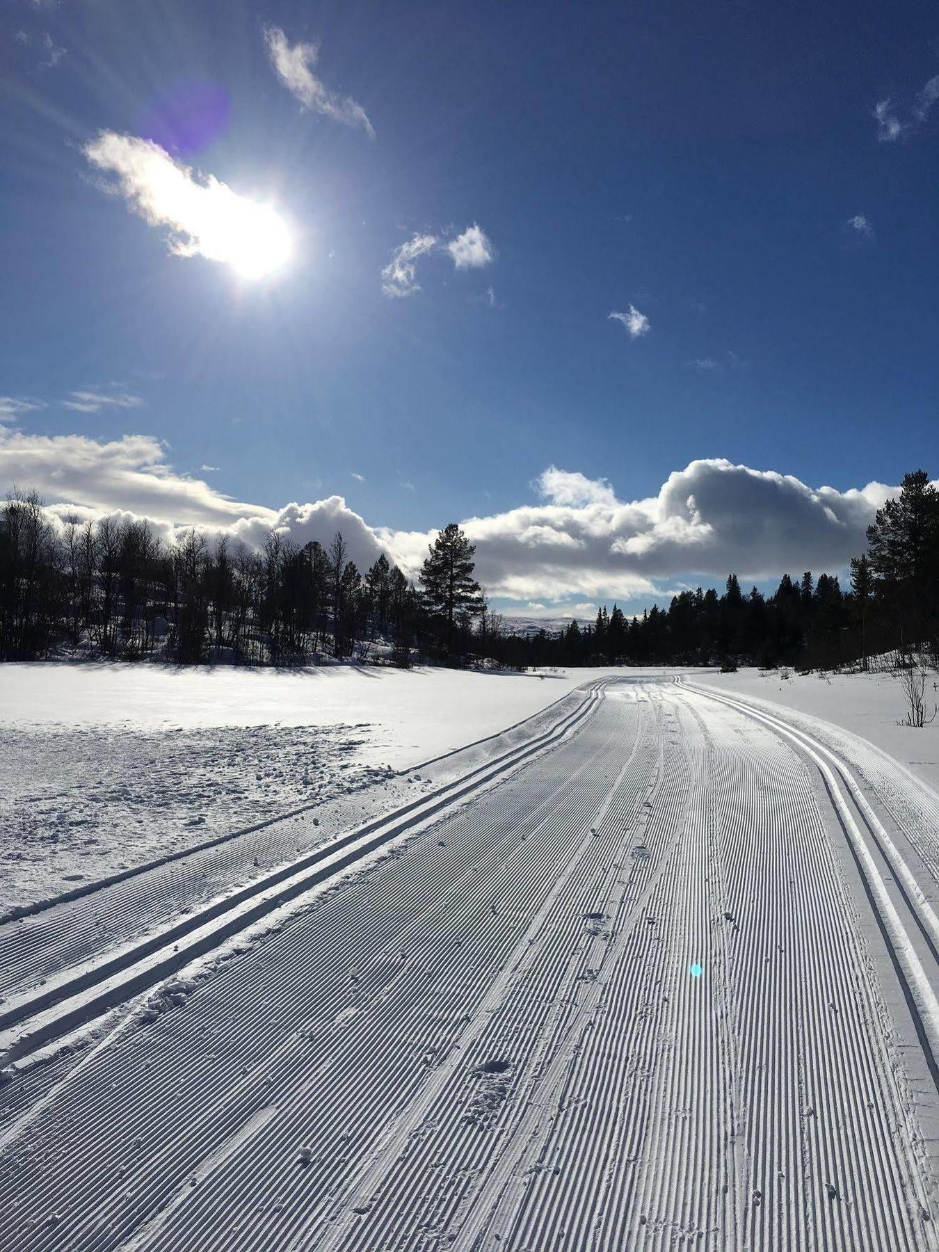 Liatoppen Fjellhotell Al Bagian luar foto