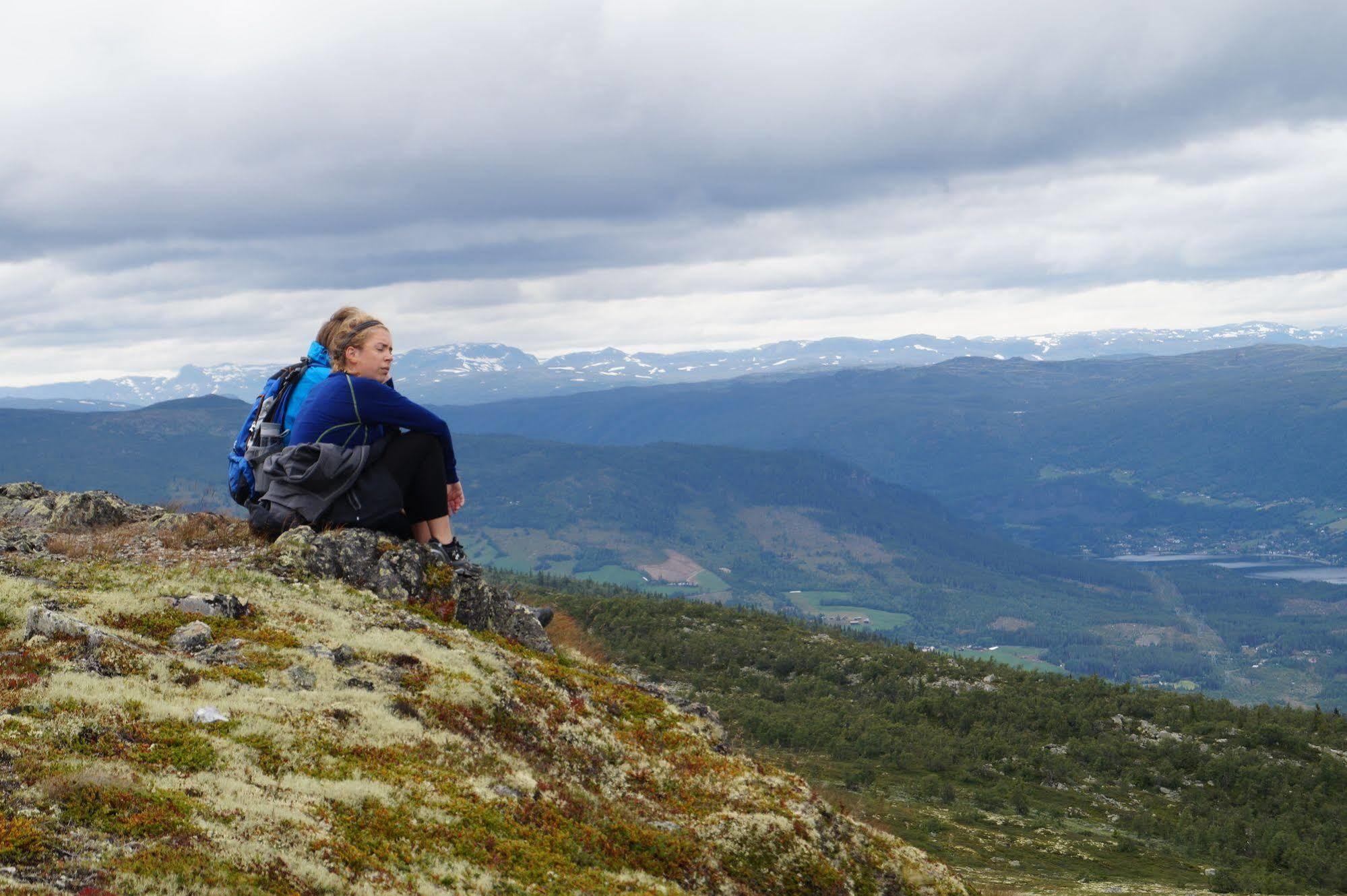 Liatoppen Fjellhotell Al Bagian luar foto