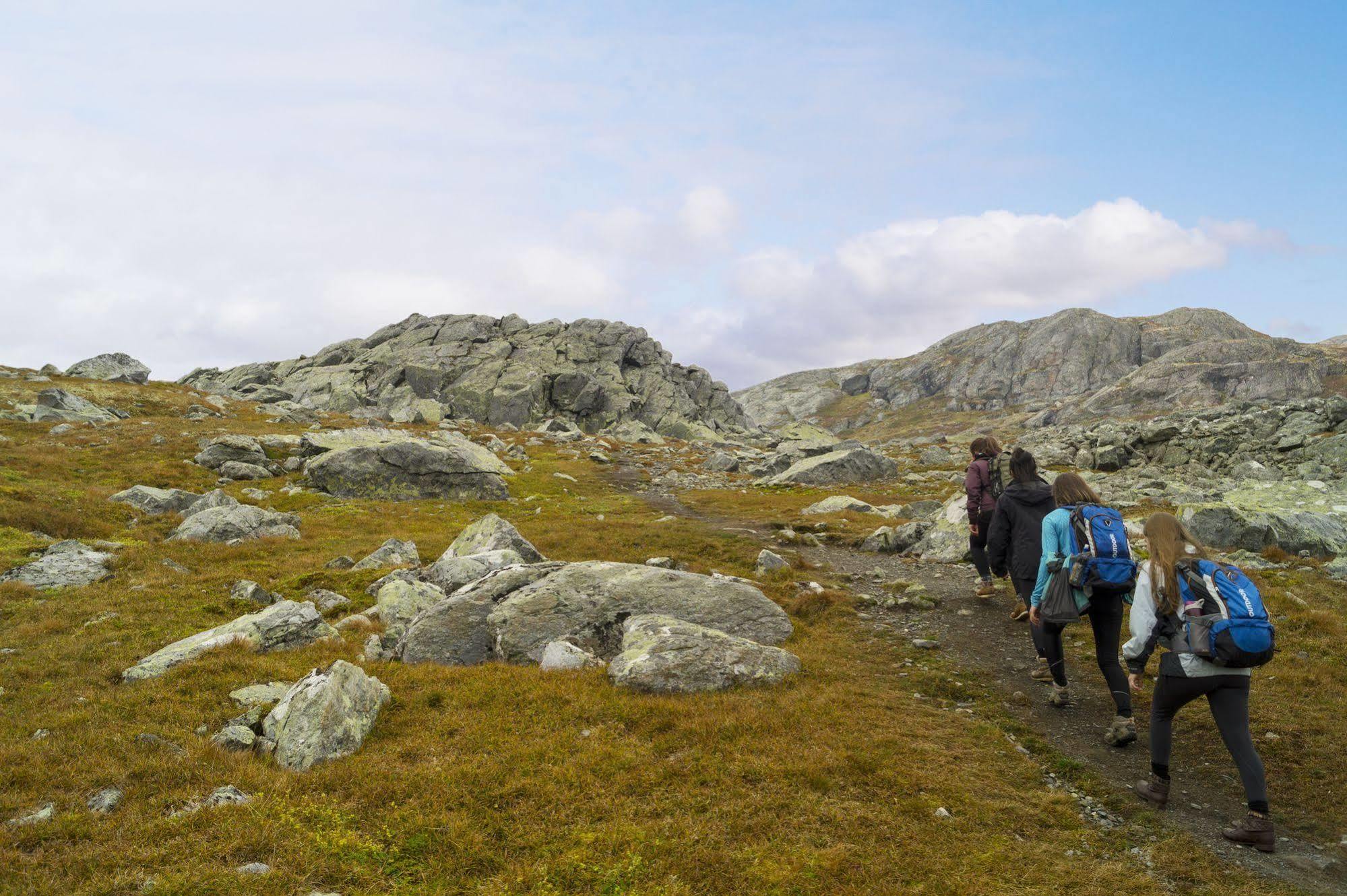 Liatoppen Fjellhotell Al Bagian luar foto