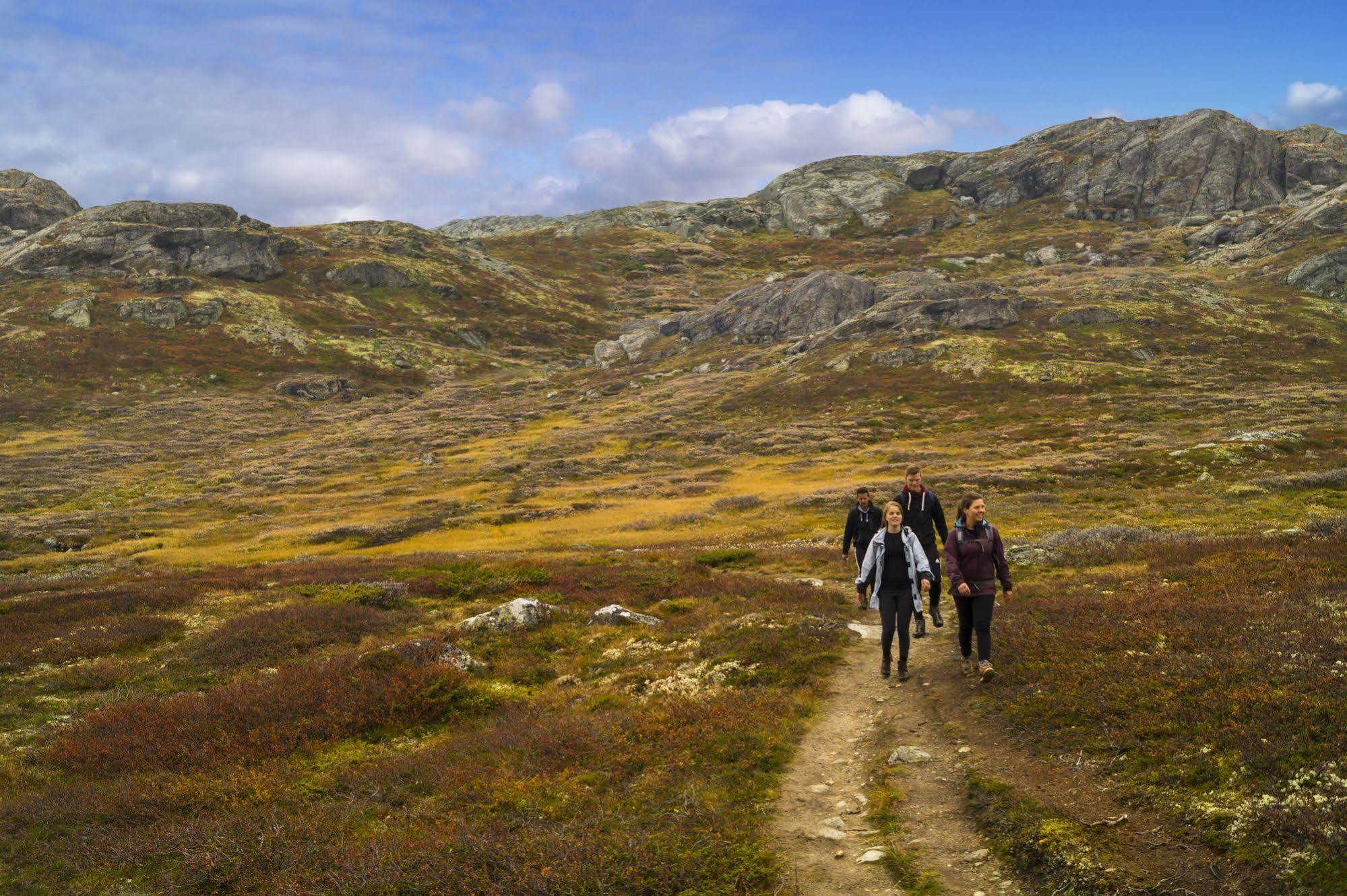 Liatoppen Fjellhotell Al Bagian luar foto
