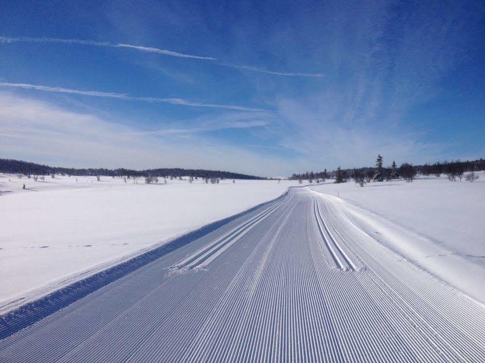 Liatoppen Fjellhotell Al Bagian luar foto