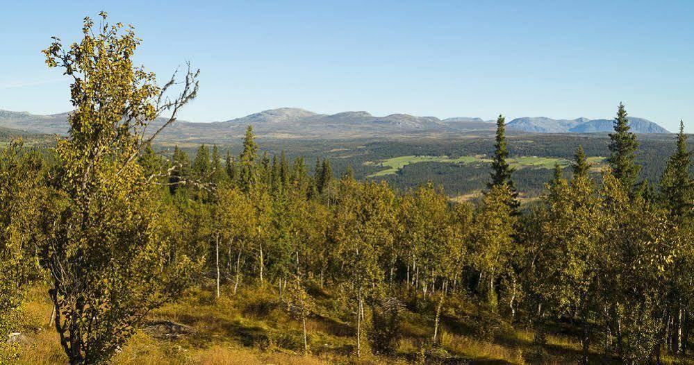 Liatoppen Fjellhotell Al Bagian luar foto